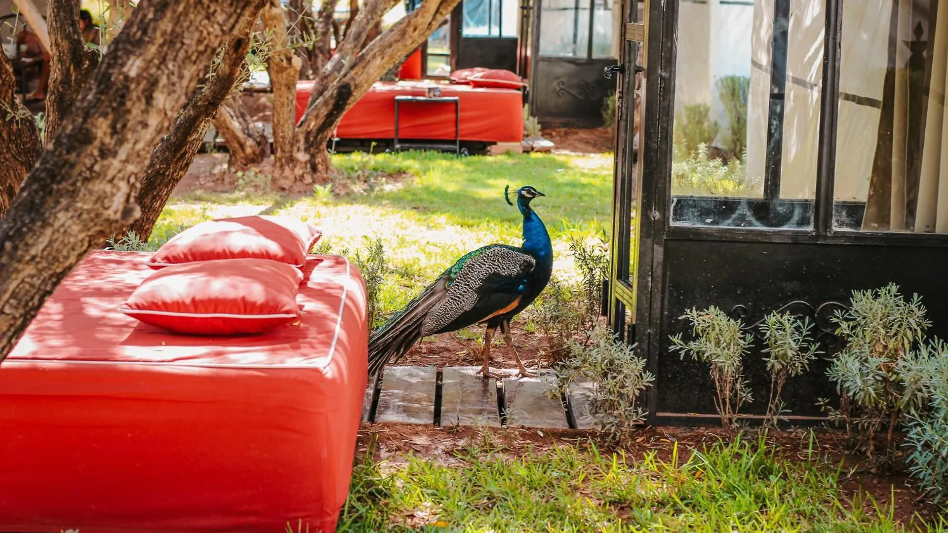 Bed & Breakfast Hotel & Spa La Ferme El Dar Marrakesh
